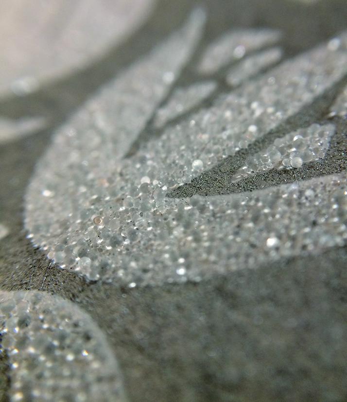 【MORRIS & CO.】 カット壁紙 1m (いちご泥棒 ピュア)