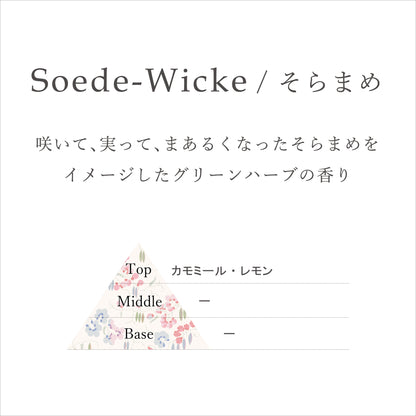 【上野リチ L.Rix Fantasy 】リードディフューザー