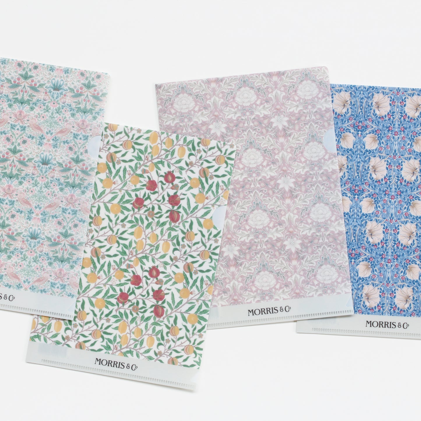 MORRIS & Co. クリアファイルA5｜SIMPLY MORRIS