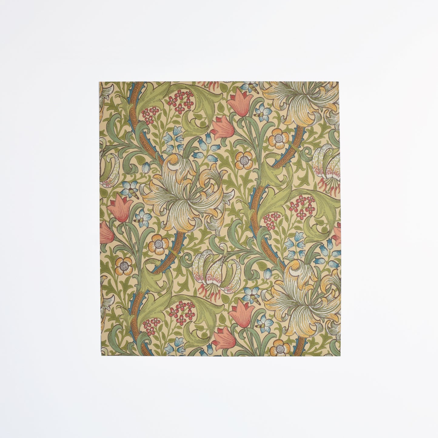 【MORRIS & CO.】  カット壁紙 60cm