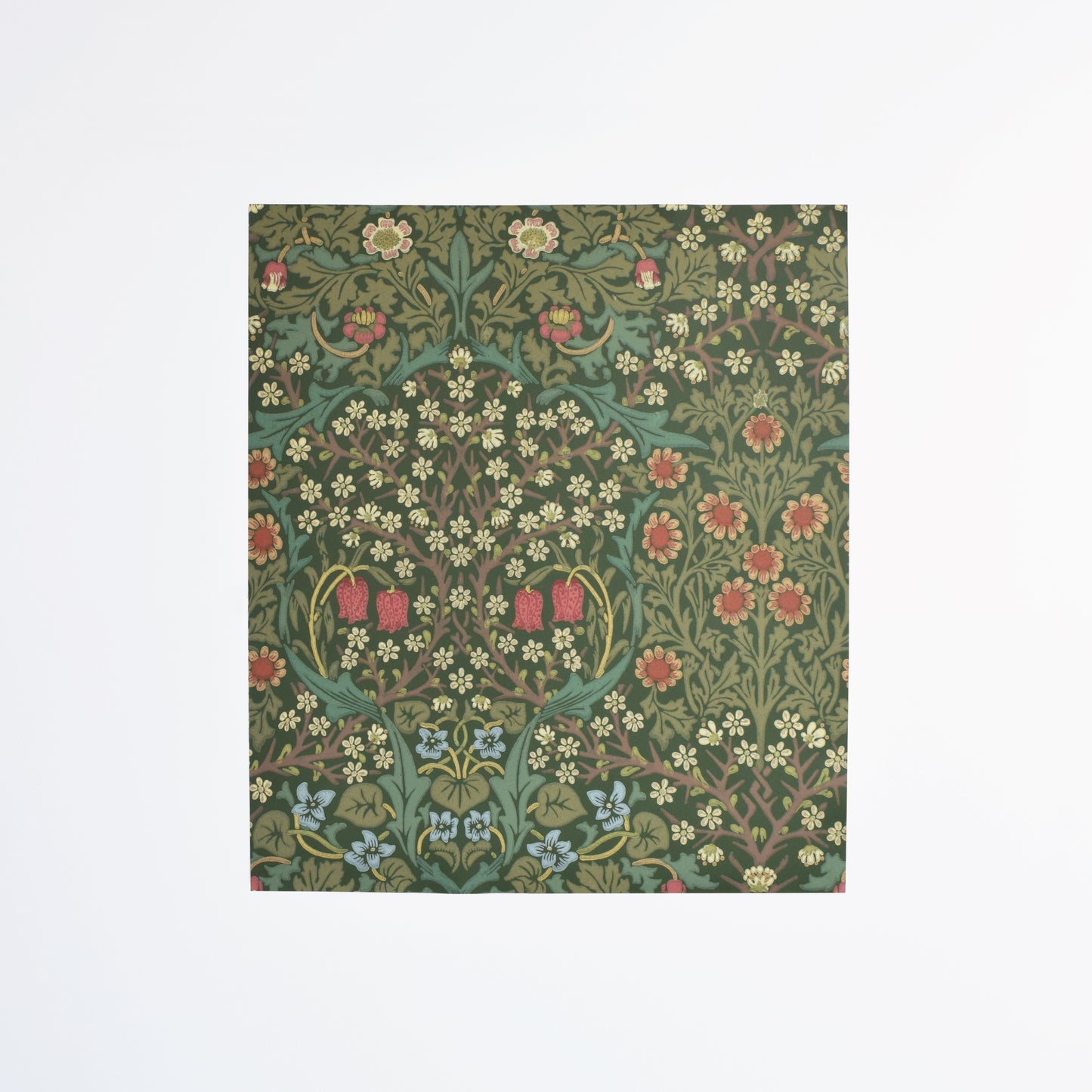 【MORRIS & CO.】  カット壁紙 60cm