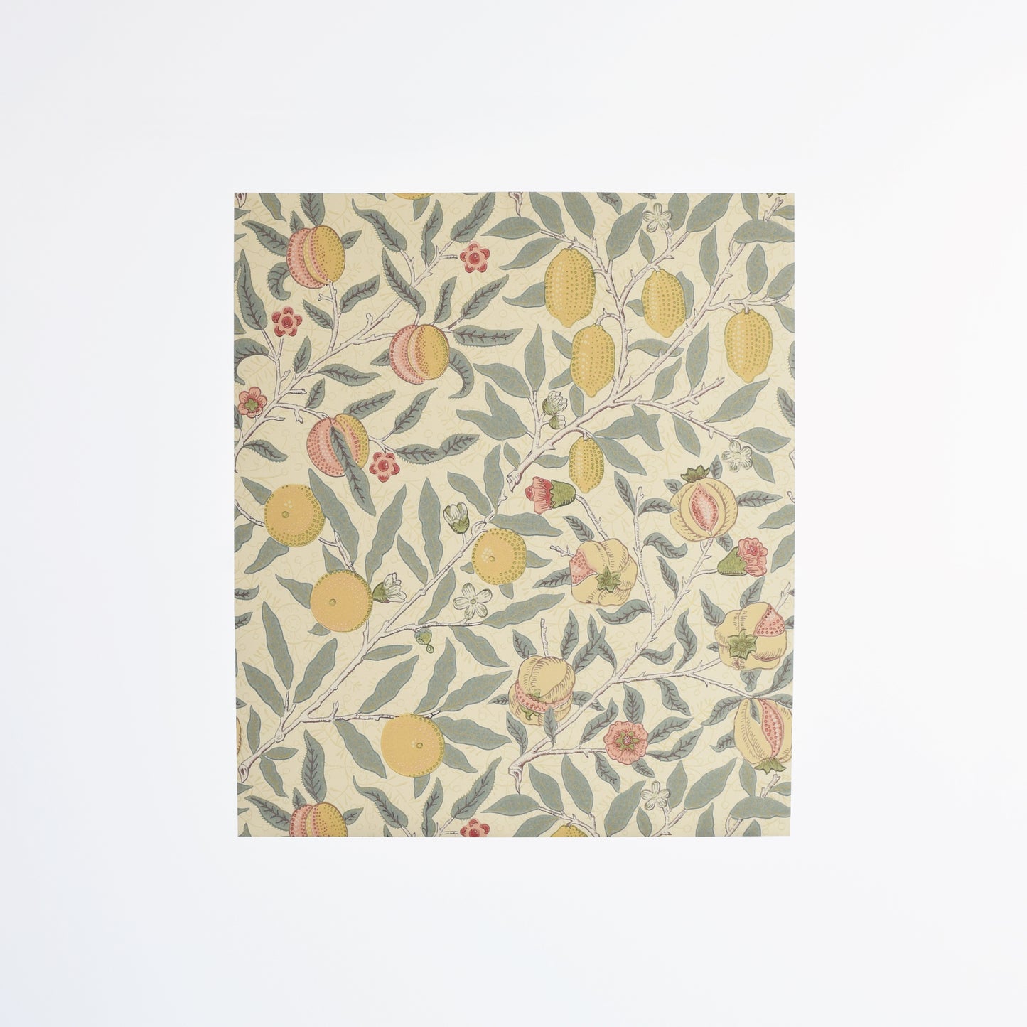 【MORRIS & CO.】  カット壁紙 60cm