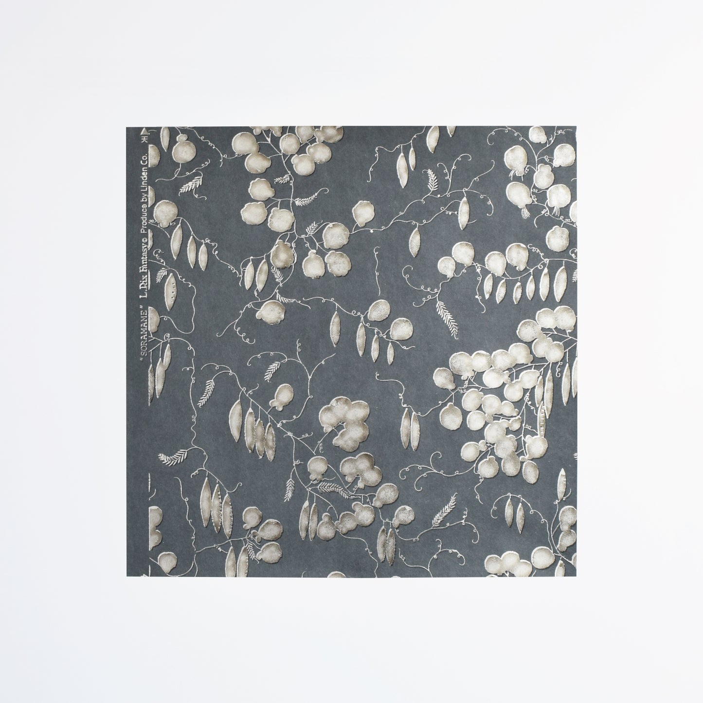 上野リチ｜越前和紙 箔印刷 壁紙 1m｜そらまめ｜和紙インテリア L.Rix Fantasy