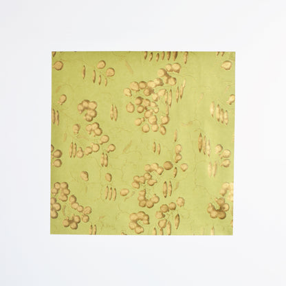 上野リチ｜越前和紙 箔印刷 壁紙 1m｜そらまめ｜和紙インテリア L.Rix Fantasy